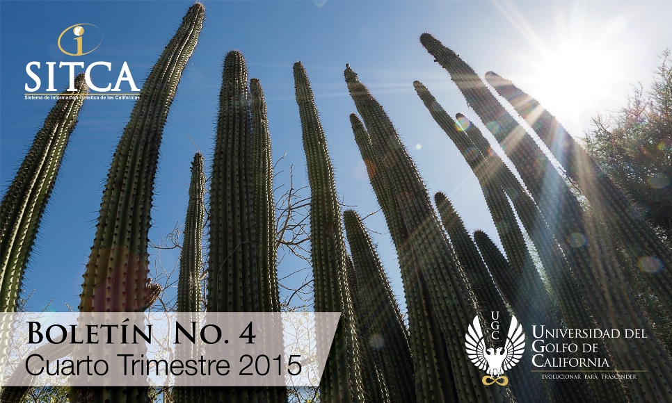 Boletin 4 - 2015