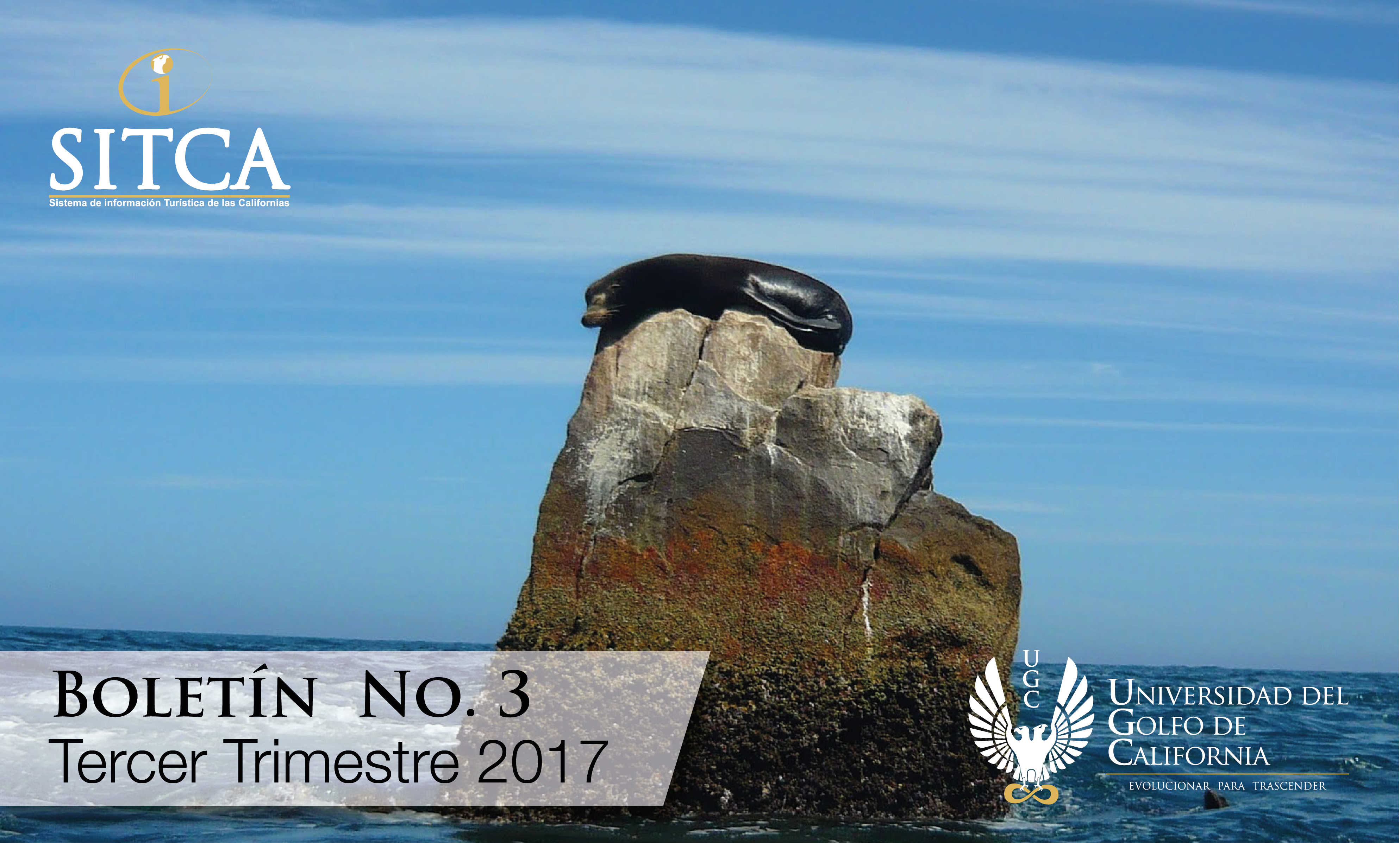 Boletin 3 - 2017